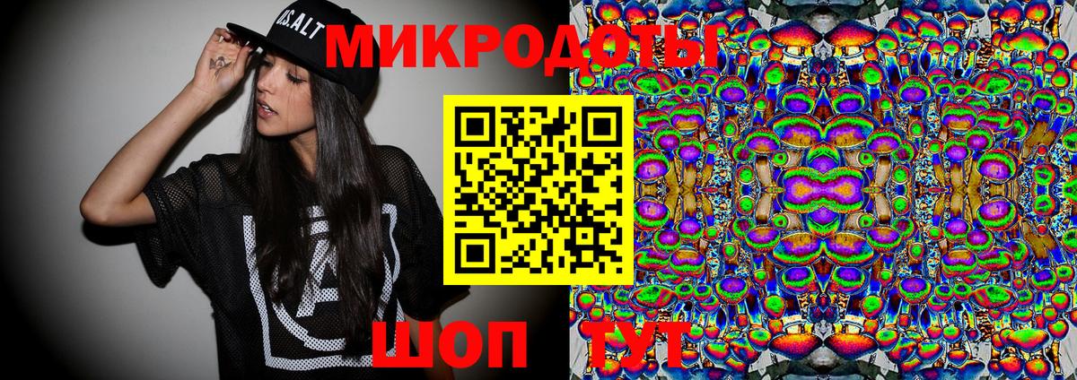 Псилоцибиновые грибы Cubensis Минеральные Воды