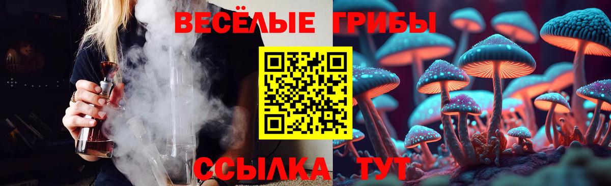 Псилоцибиновые грибы Magic Shrooms  Вход с VPN  Псилоцибиновые грибы MAGIC MUSHROOMS  Минеральные Воды 